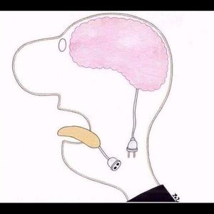 Meet your Posher, Lee